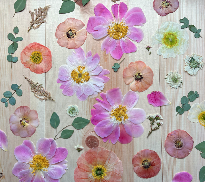 The Pressed Flower Co.